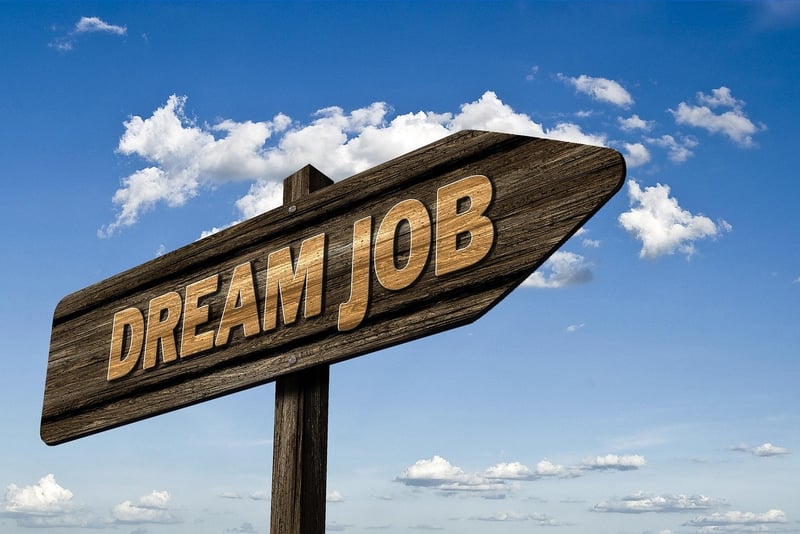 Career Options